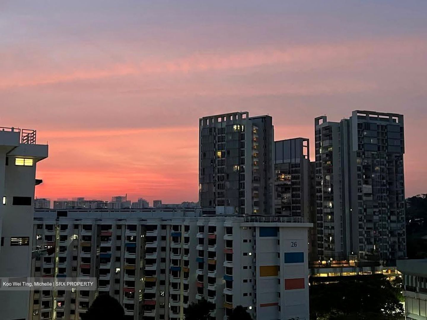Blk 101 Teck Whye Lane (Choa Chu Kang), HDB Executive #634146961